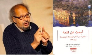 Hanaa Abdel Fattah Metwaly (13 Dec 1944 - 19 Oct 2012)